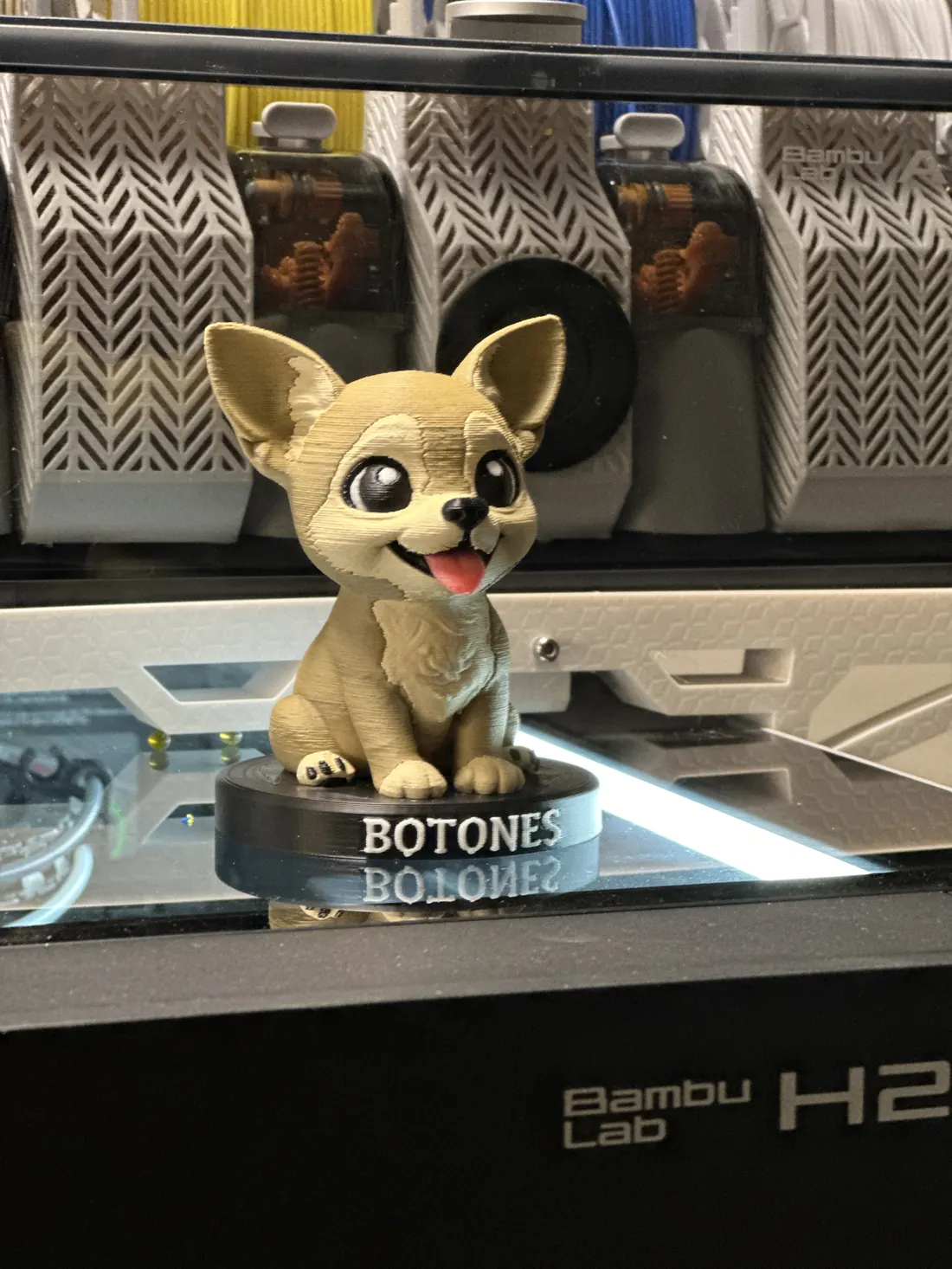 Figura personalizada de una mascota llamada Botones